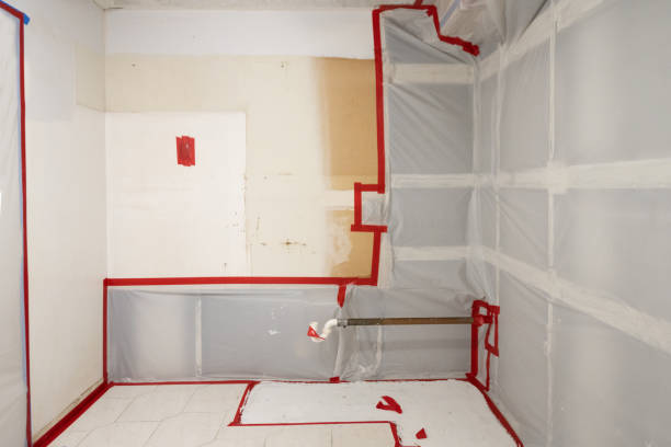Best Real Estate Mold Inspection  in St Charles, MI