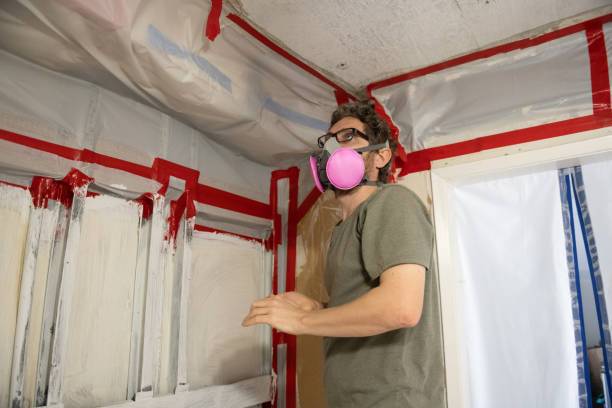 Best Post-Construction Mold Inspection  in St Charles, MI