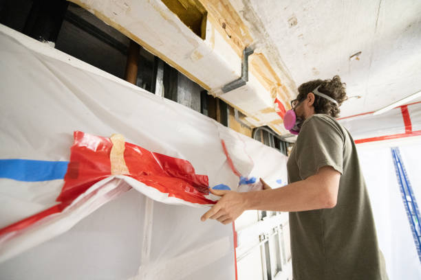 Best Environmental Consulting for Mold Prevention  in St Charles, MI