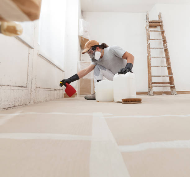 Best Attic Mold Removal  in St Charles, MI